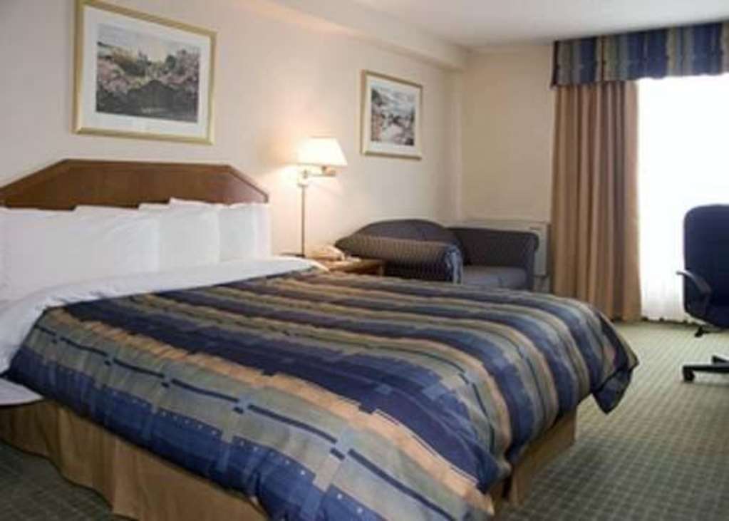 Four Points By Sheraton Toronto Airport East Room photo
